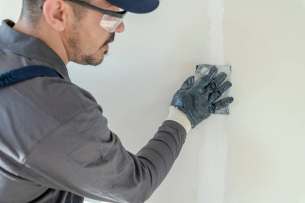 Best Residential Mold Inspection & Testing  in Princeton, FL